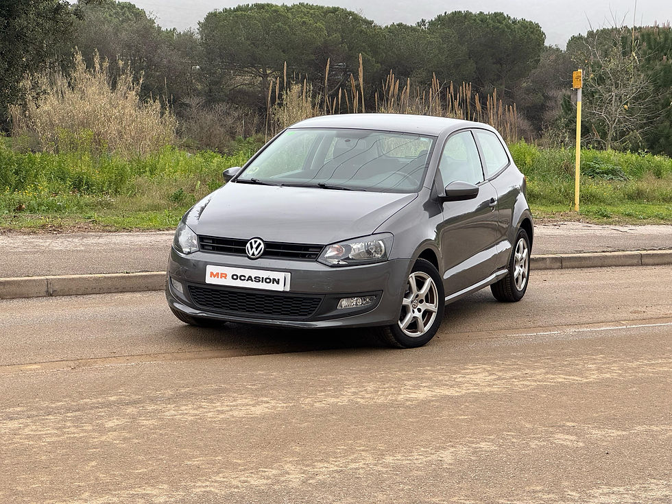 VOLKSWAGEN POLO 1.6 TDi 90 CV - 2013