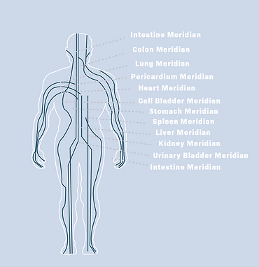 12 Meridians | Michigan Acupuncture Studio