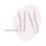 Stomach 36 Acupressure Point