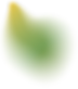 Gráfico de fondo verde suave para ambientación visual de la aplicación Doovo