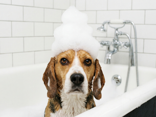 Baño medicinal vs baño estetico