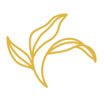 4_Sabatini_feuilles_jaune_RVB.png