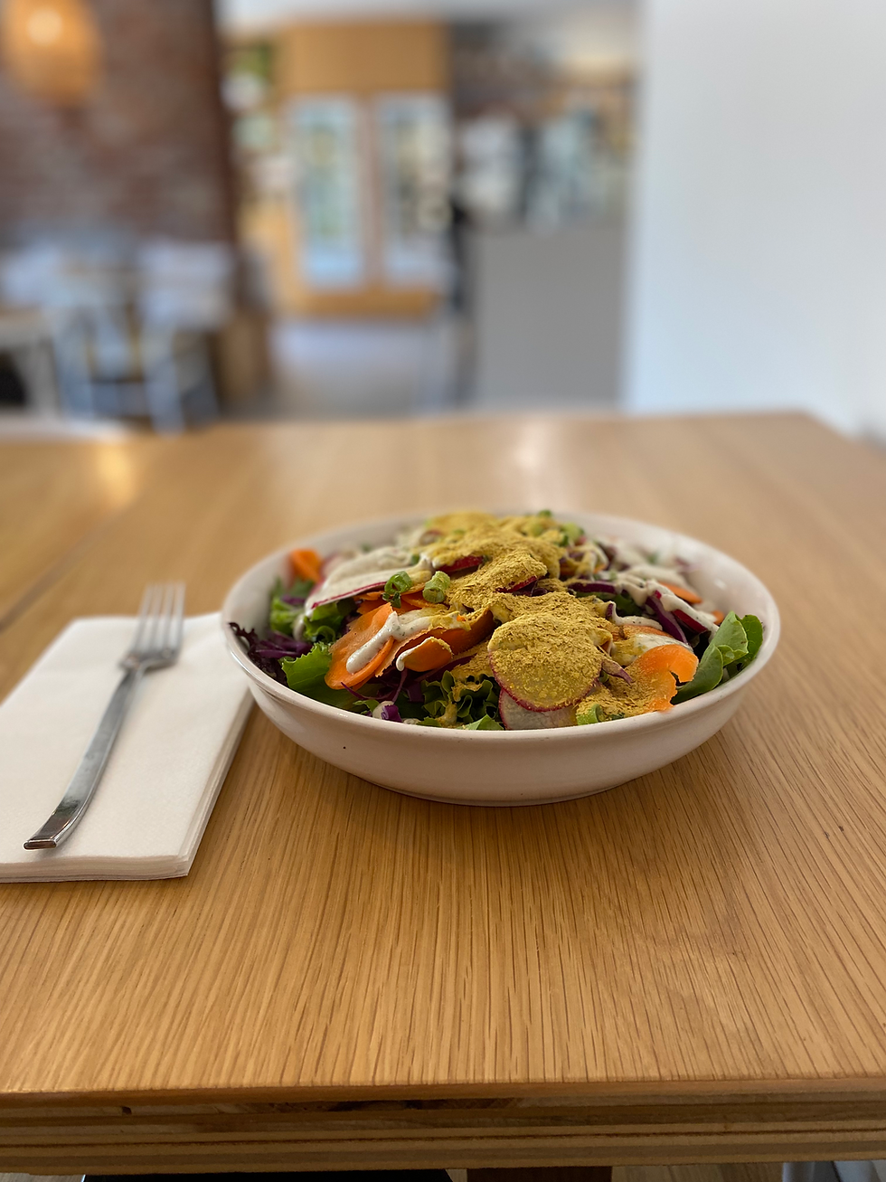 Eye-level view of a peaceful garden with a small water fountain surrounded by green plants