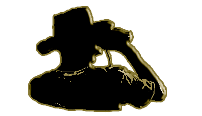 Uganda Gorilla Safaris 