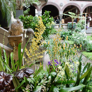 Isabella Stuart Gardner Museum