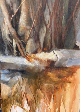 raízes. 52x35cm