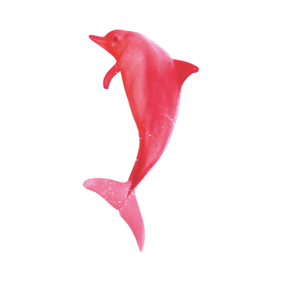 Design sem nome (3).png