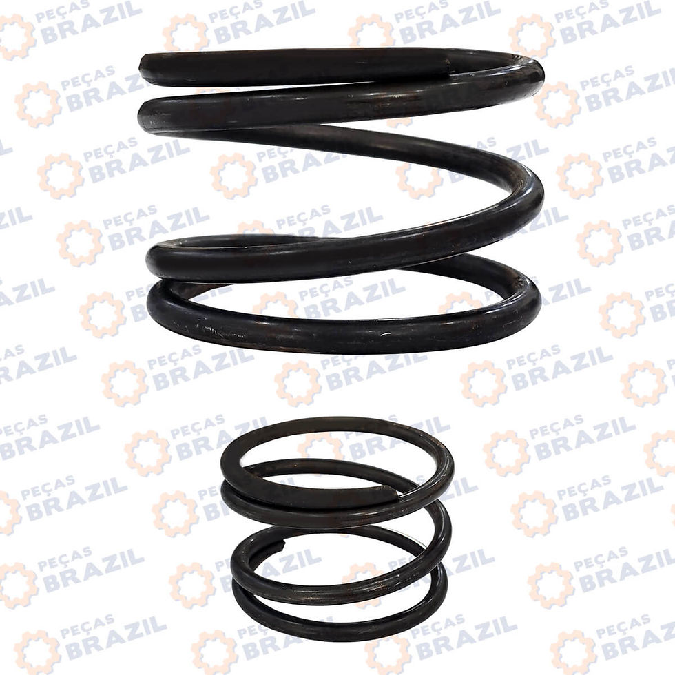 34657 - Mola da Transmissão - ZF.0732041183 | Grupo Brazil Maquinas / 4110000076251 / 860116299 / 7200001552 / SP100202