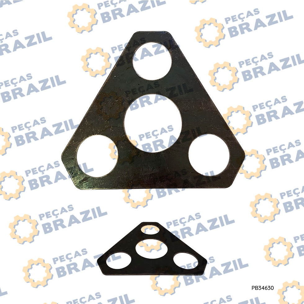 0123318 / Calco Do Cubo-Carraro / PB33637 / Peças Brazil