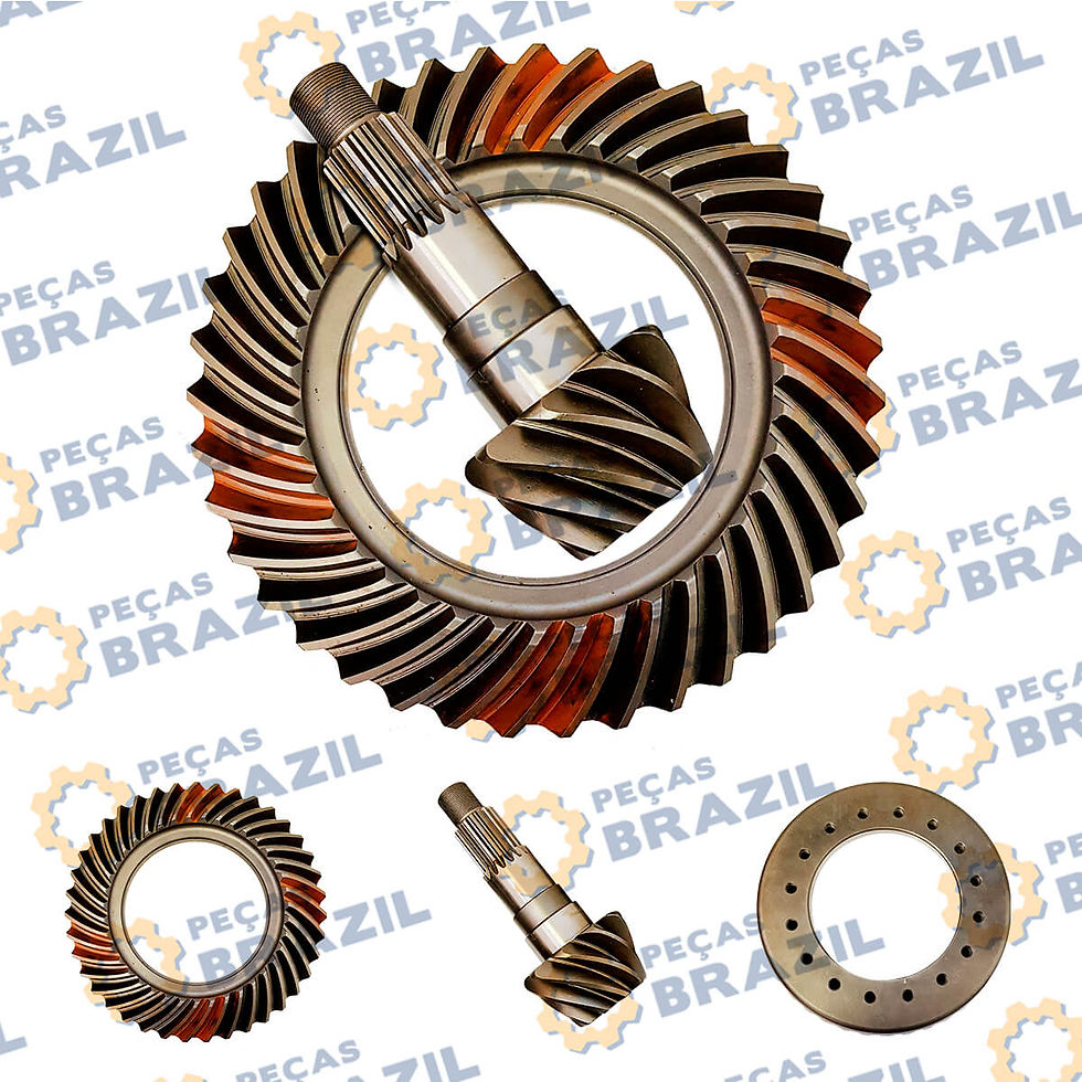 29070019951, PB34914, COROA E PINHAO