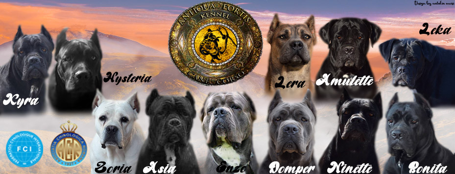 cane corso kennels