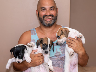Adopting a second dog: Does gender matter?
