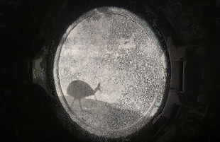 20230120_100557.jpg