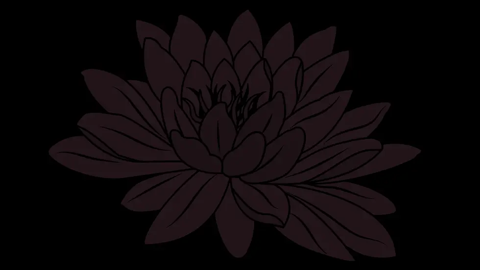 Untitled design.webp