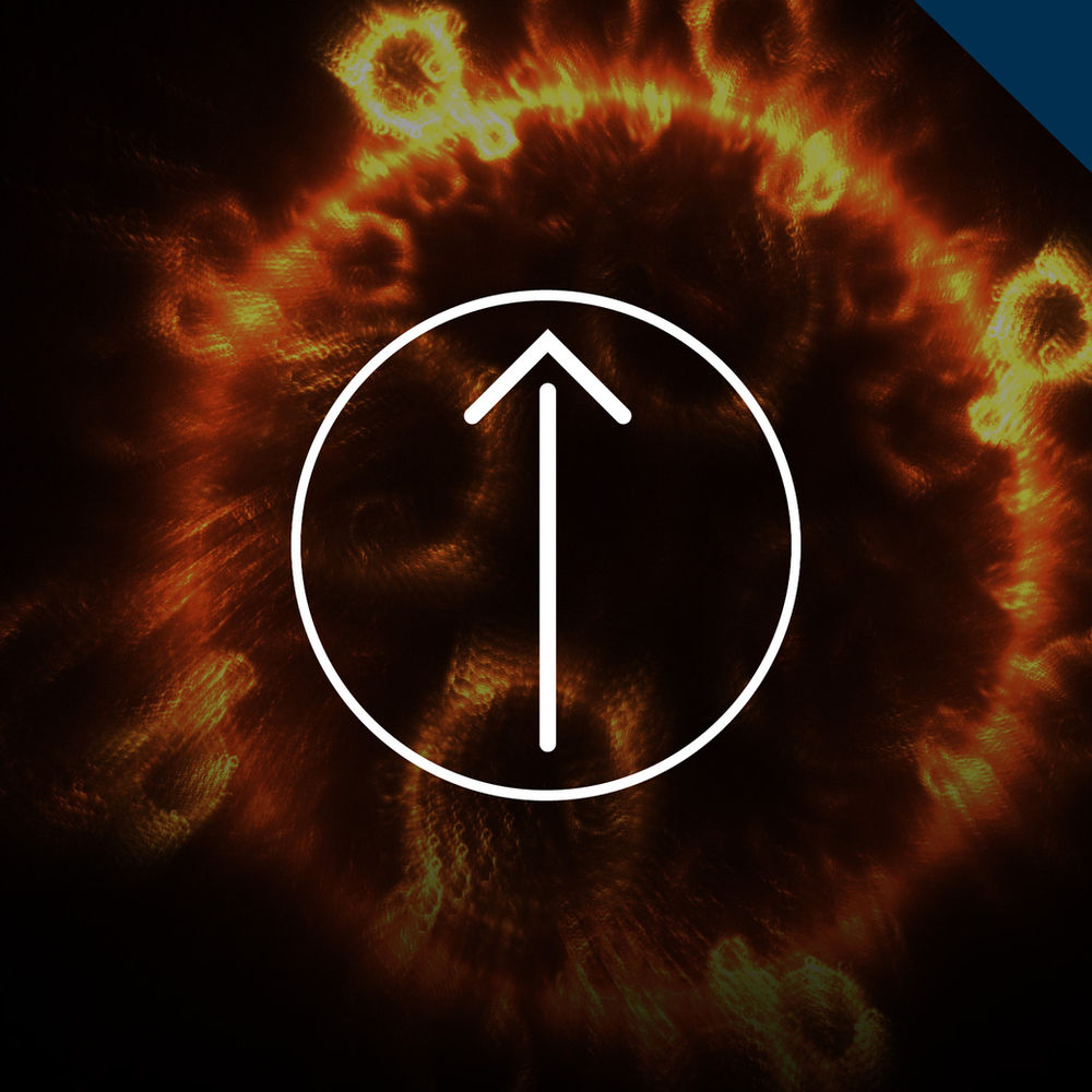 The Rapture 2 Rescue From Wrath