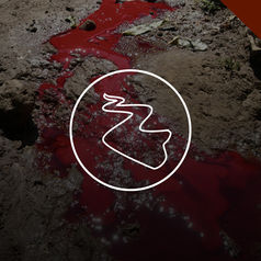 Environmental Pollution