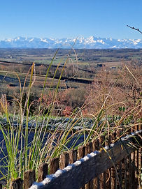 Vue sur les Pyrénées