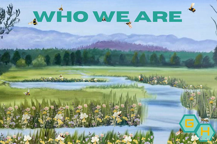 Who-we-are-1-1.jpg