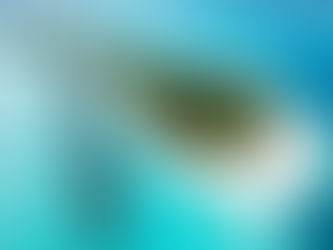 Experience island luxury at Conrad Maldives, Rangali island.