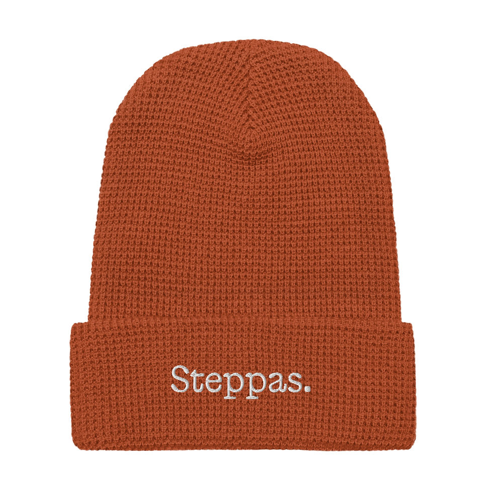 Thumbnail: The Steppas Beanie – Drop 003
