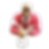 KRAZY T.png