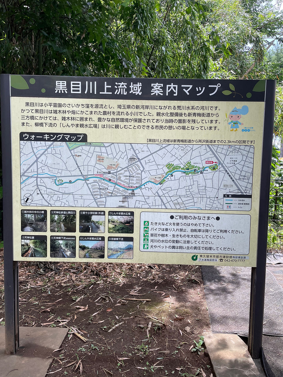 黒目川・さいかちの道
