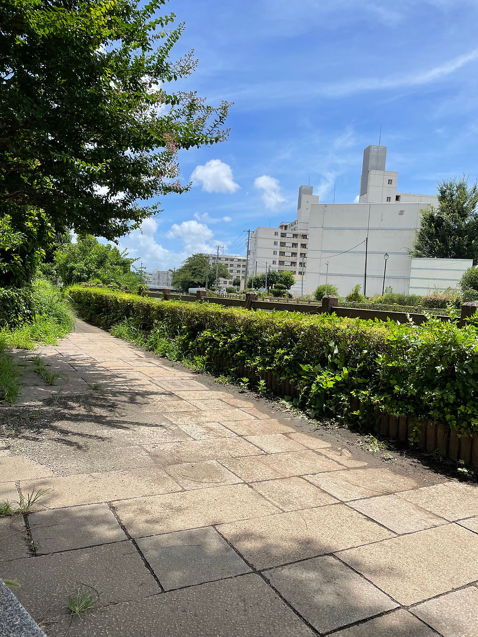 黒目川・さいかちの道