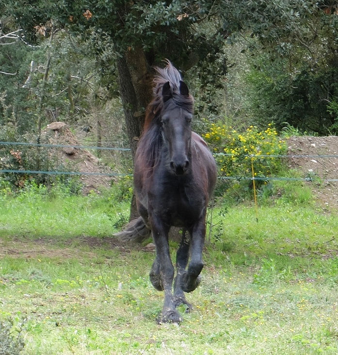 DSCF8598.JPG