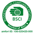 BSCI logo copy.png
