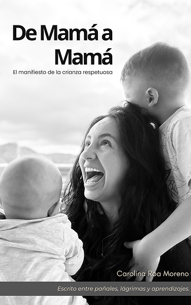portada libro.png