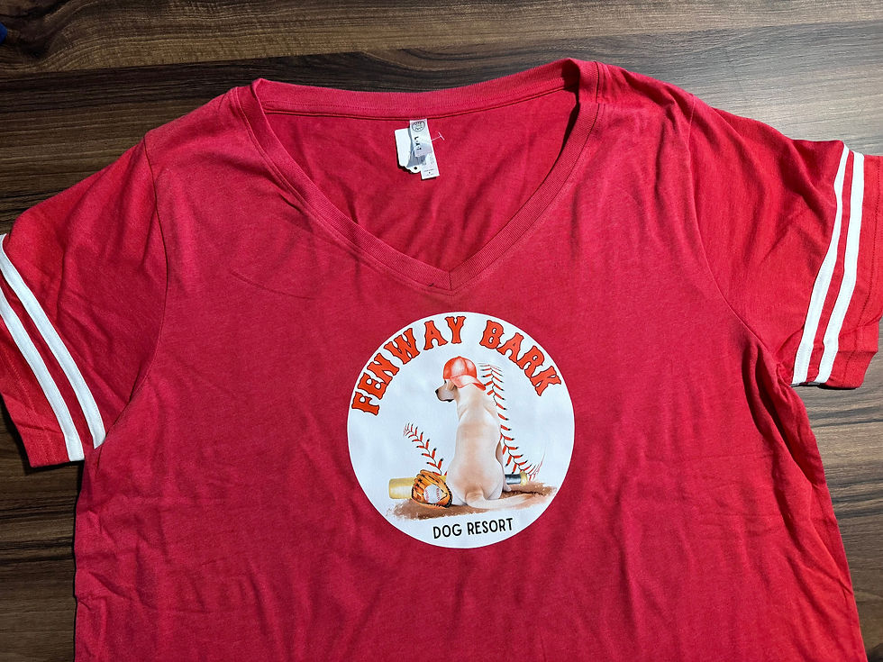 Fenway Bark classic logo large center on red v neck women's football tee