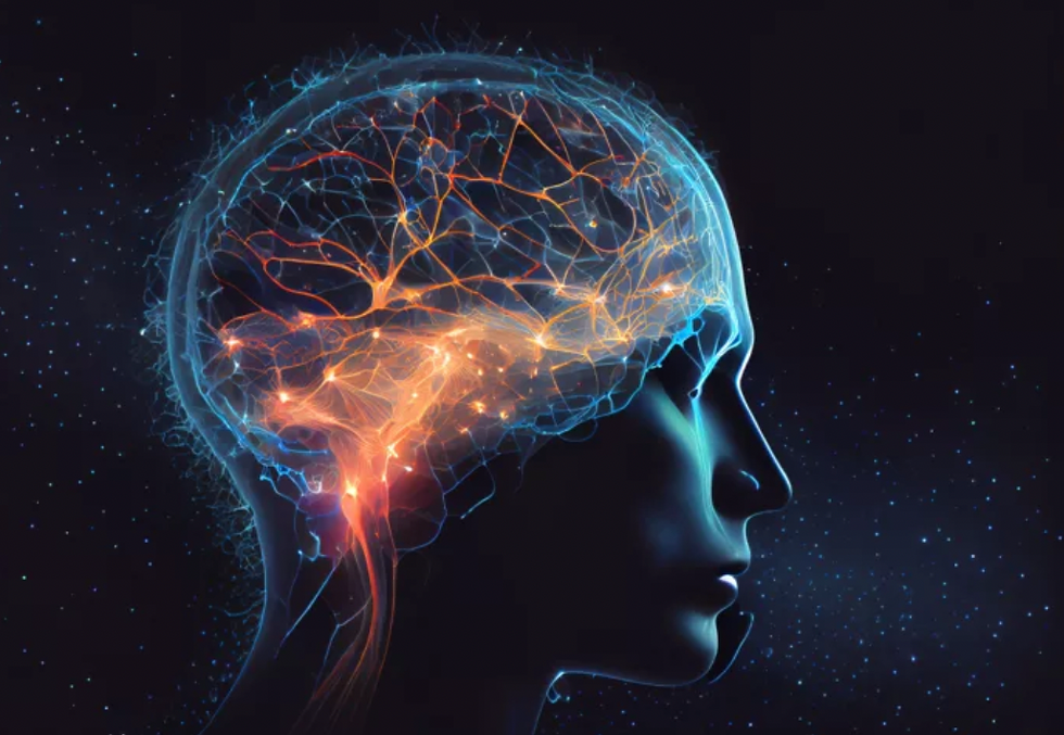 Person's brain showcasing neuroplasticity