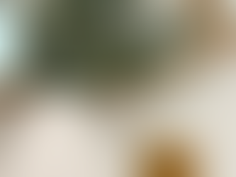 Teacher Turns Entrepreneur