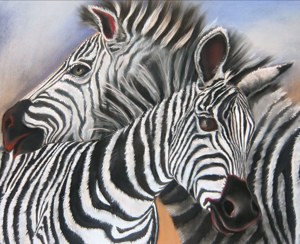 Zèbres pastel(48x58).jpg