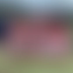 第27回カトレア少女サッカー大会 