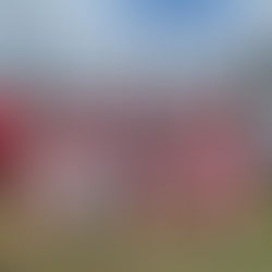 第2回神奈川県少女サッカーフェスティバル