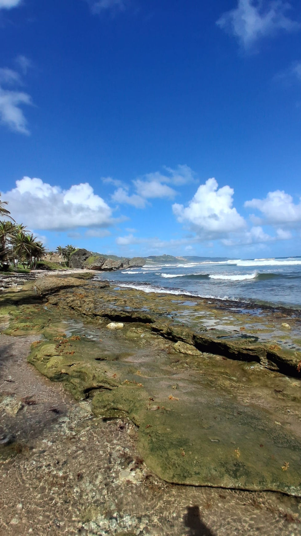 Costal Formations Bathsheba