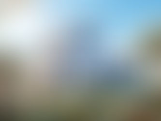 Modern tropical home