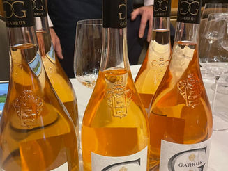 Can Rosé Be Considered a Fine Wine? | Pink.Wine Debate Recap