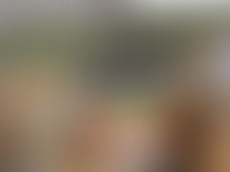 Biodynamic in Bordeaux