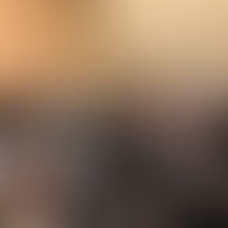 IECSC will not be returning to Chicago this year.