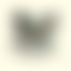 Festival del Tero 2024 | Chile Chico