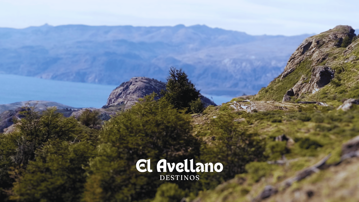 El Avellano