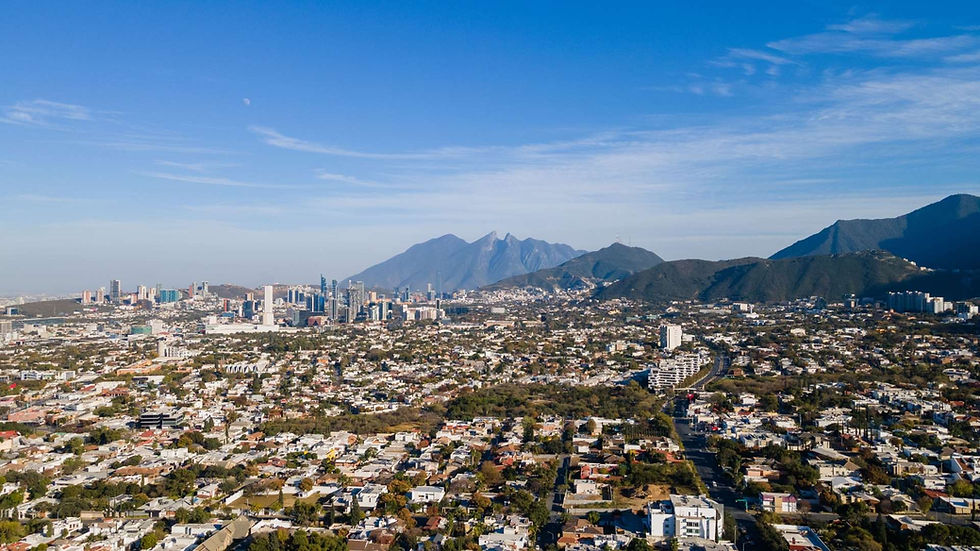 Logopeda Monterrey | Fonoaudiólogo Online