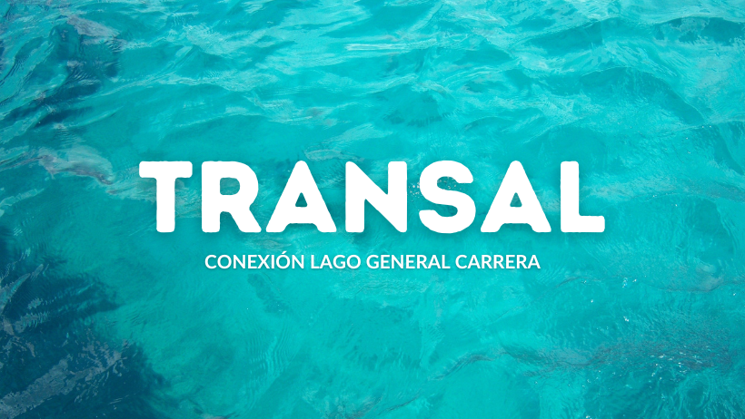 Noticias Transal