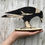 Thumbnail: Bridget Farmer: Standing Bird - Magpie