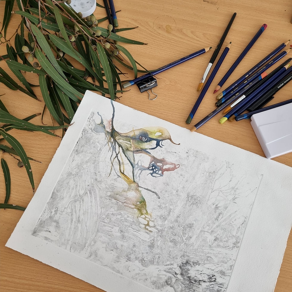 Connecting to Nature : Pathways to Art