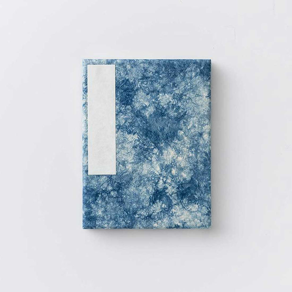 Awagami Concertina Diary