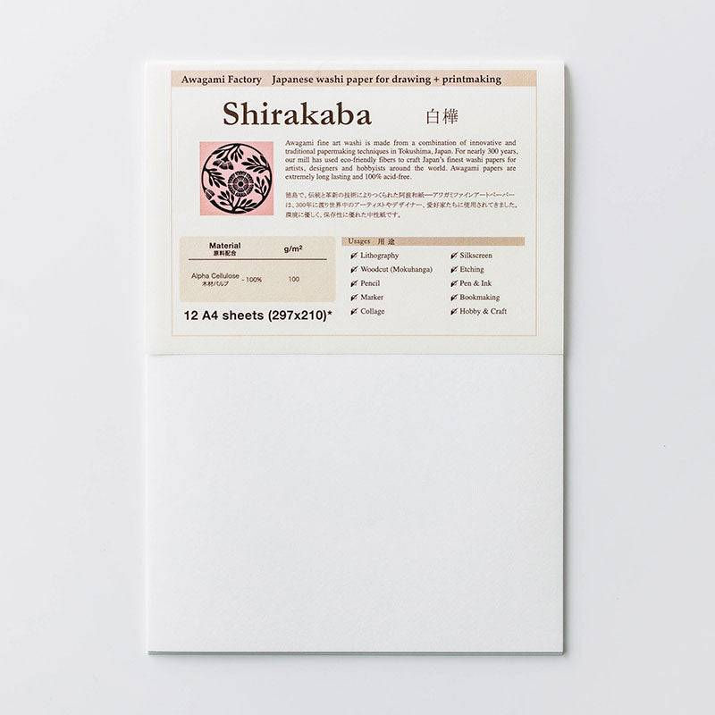 Awagami Silk Pure White A4 Sheets