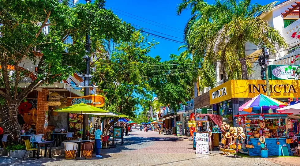 best tour in Cozumel